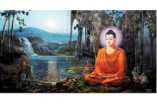 BASIC BUDDHISM FOR BEGINNER