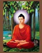 CÂU ĐỐ VỀ LỊCH SỬ ĐỨC PHẬT TẬP 1